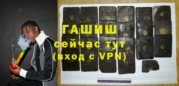 хмурый Алзамай