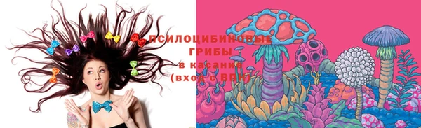 хмурый Алзамай