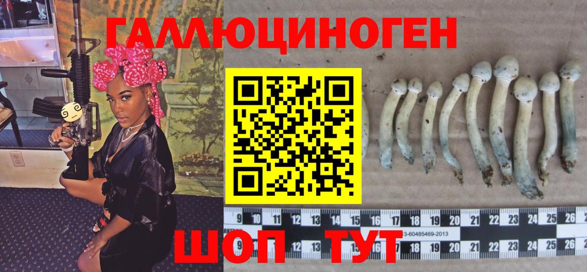 Псилоцибиновые грибы Psilocybe  Вход с VPN  Первоуральск 